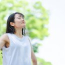 최고약국 이미지