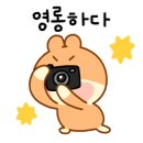 태진분식