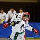 우승태권도 이미지