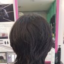 박숙경 헤어 살롱