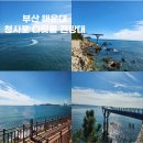 해운대블루라인(주)청사포정거장 이미지