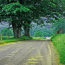 아름다운강산 이미지