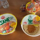 오케이카프라자 | [2026.1.24.] 캐나다 9일차 : 휘슬러 X 컨트리 스키 2탄 - 스케이트 스키