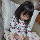 요리조리 디저트 이미지