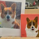 콩지네 부엌 이미지