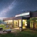 소나무향기 이미지