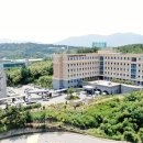 진해수요양병원 네이버블로그
