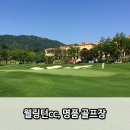 웰링턴CC