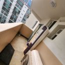 광성운송 이미지