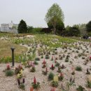 앞마당 어린이 공원 이미지