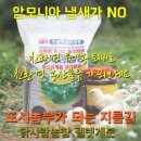 닭사랑농장 이미지