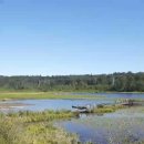 Burnaby Lake Regional Park 이미지