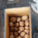 파삭파삭 이미지