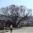 지리산다래랑민박 이미지