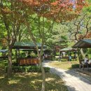 안성맞춤가족공원 이미지