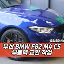 조성카센타 | 부산 부동액 성지, BMW F83 M4 CS 차량 작업 후기