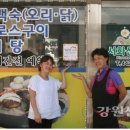 서화산가든 강원신문