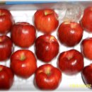 병규농장 이미지