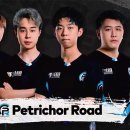 페트리코 이미지