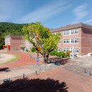 약목초등학교 이미지