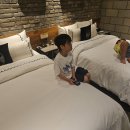 266호텔 | 파주호텔# 마리 호텔 프리미엄 트윈 1박 내돈내산 숙박후기