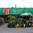 영플라워 이미지