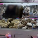 뽑기1번가 네이버블로그