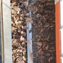 아이코리아새세대유치원 이미지