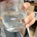 미용농장 | 피부미용,붓기빼기 추천 :: 영월이룸농장 비타민나무잎차