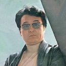 비둘기집 이미지