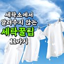 세탁소에서 알려주지 않는 세탁 꿀팁 11가지 이미지