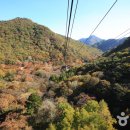 내장산관광안내소 이미지