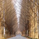 대나무골 이미지