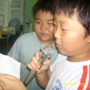 월드미션태권도 이미지