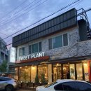 스윗플랜트 | 태평동 카페 스윗플랜트