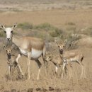 제이농장 이미지