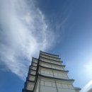일루아모텔 | [부산] 부산 해운대 오션뷰 호텔 추천 호텔 일루아 달맞이고개 디럭스더블룸 후기