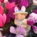 봄앤봄 플라워 카페 이미지