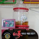 왕자와공주꿈동산어린이집