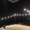 장수 번암막걸리 이미지