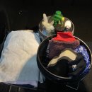 본즈모터존 이미지