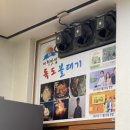 독도볼태기 이미지