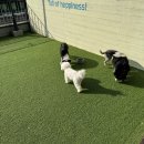 헬로우버디 이미지