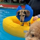 마이몽 | 고대표님 2025년 7월 일상