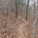 장군산길 이미지