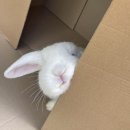 능이찬가 | 5. NOT Alone