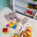 러브썸독 이미지