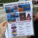 즐거운반딧불이 | ㅣ필리핀 보홀 현지 로컬 투어로 다녀온 반딧불 투어 후기ㅣ당일 예약 액티비티 반딧불이 가격 준비물