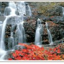 토방토방 황토민박 이미지