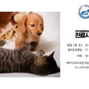 인덕원동물의료센터 이미지